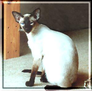 Anderwelt_Dornr_schen_web