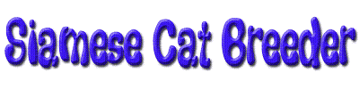 siamese-cat-breeder-banner02